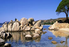UCLA在(zài)玫瑰(guī)碗告別(bié)戰(zhàn)中惨敗(bài)華(huá)盛顿,未來(lái)何去何从?