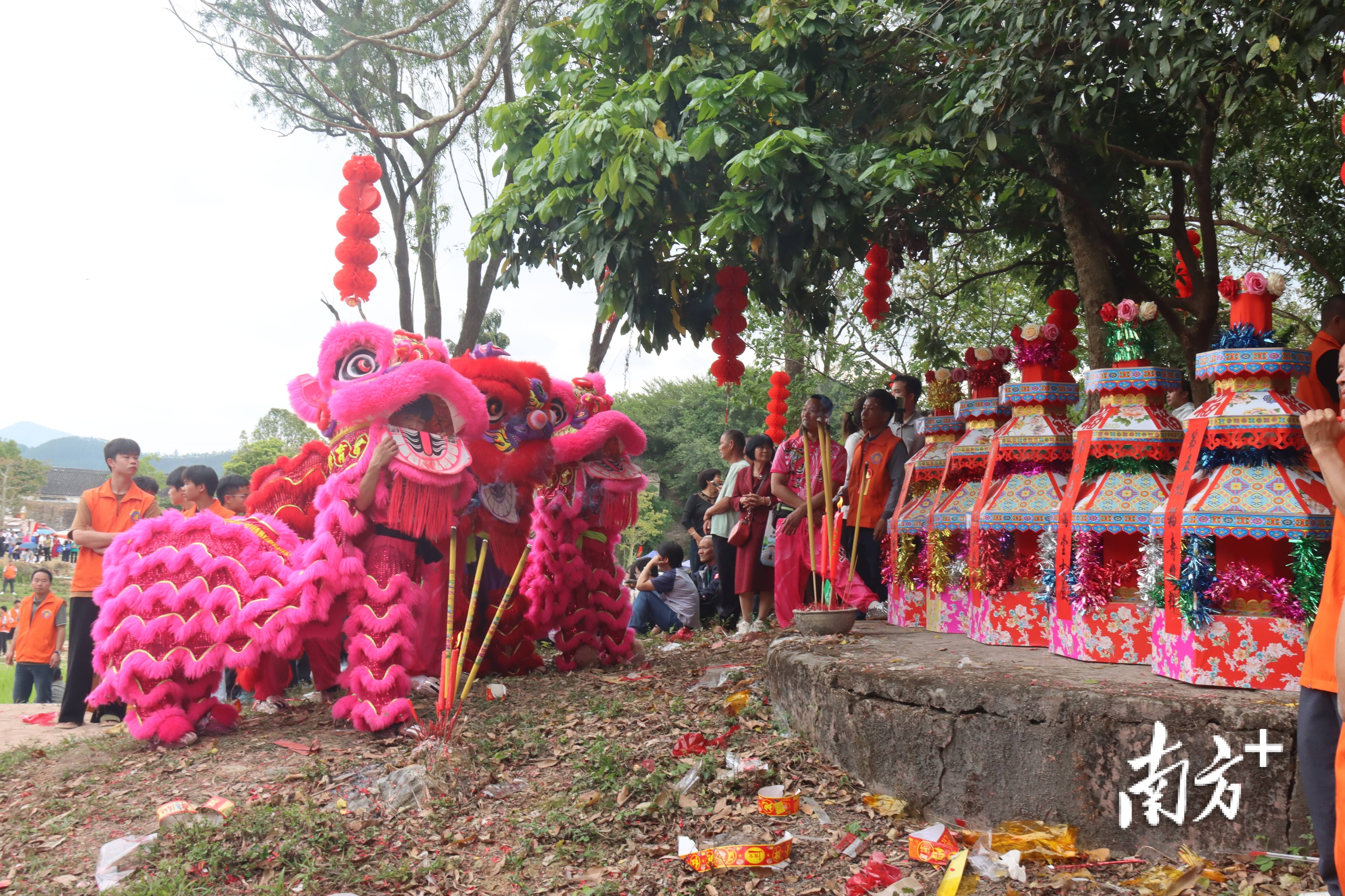 阳春这场传承500多年的炮会,到底有多热闹?