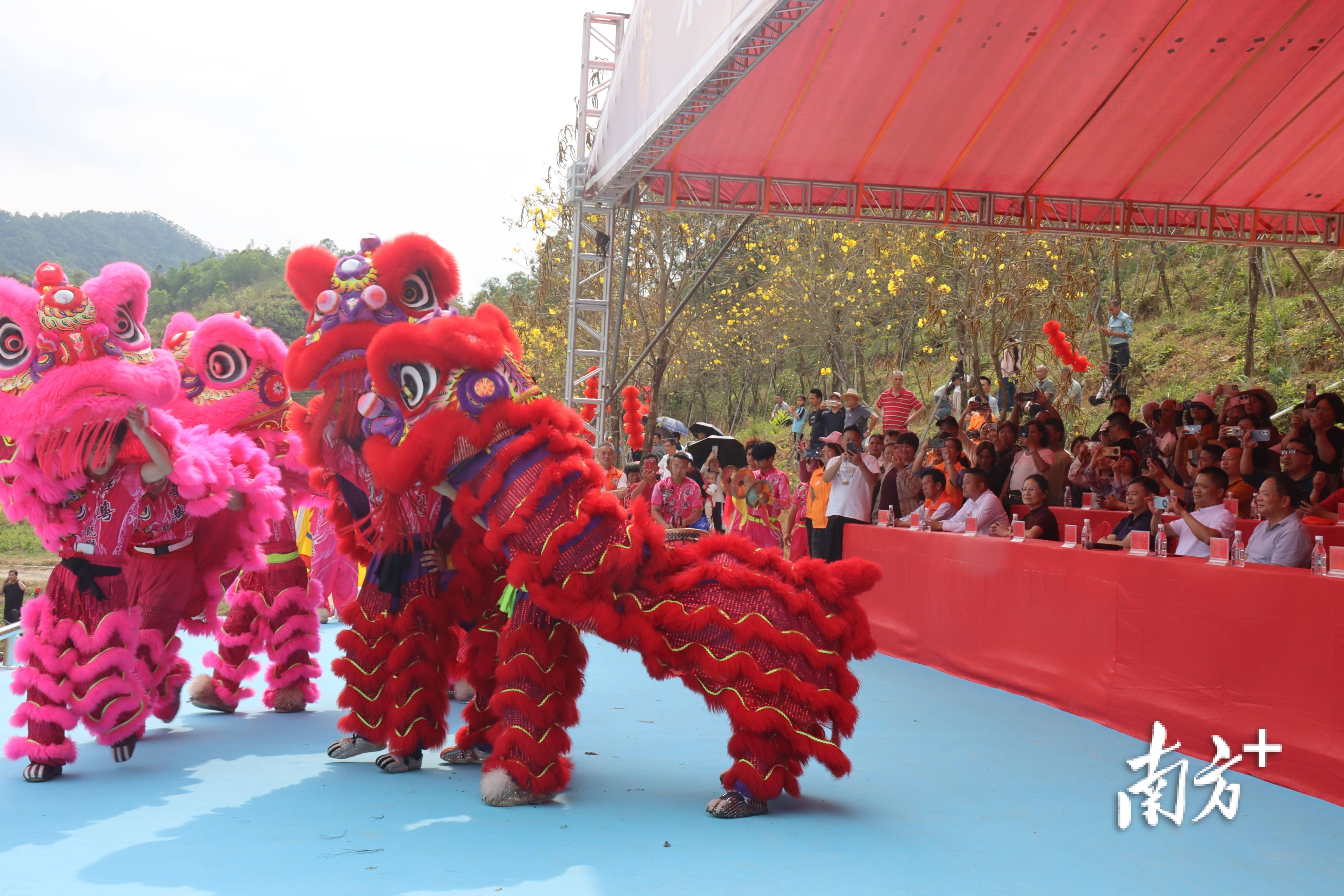 阳春这场传承500多年的炮会,到底有多热闹?